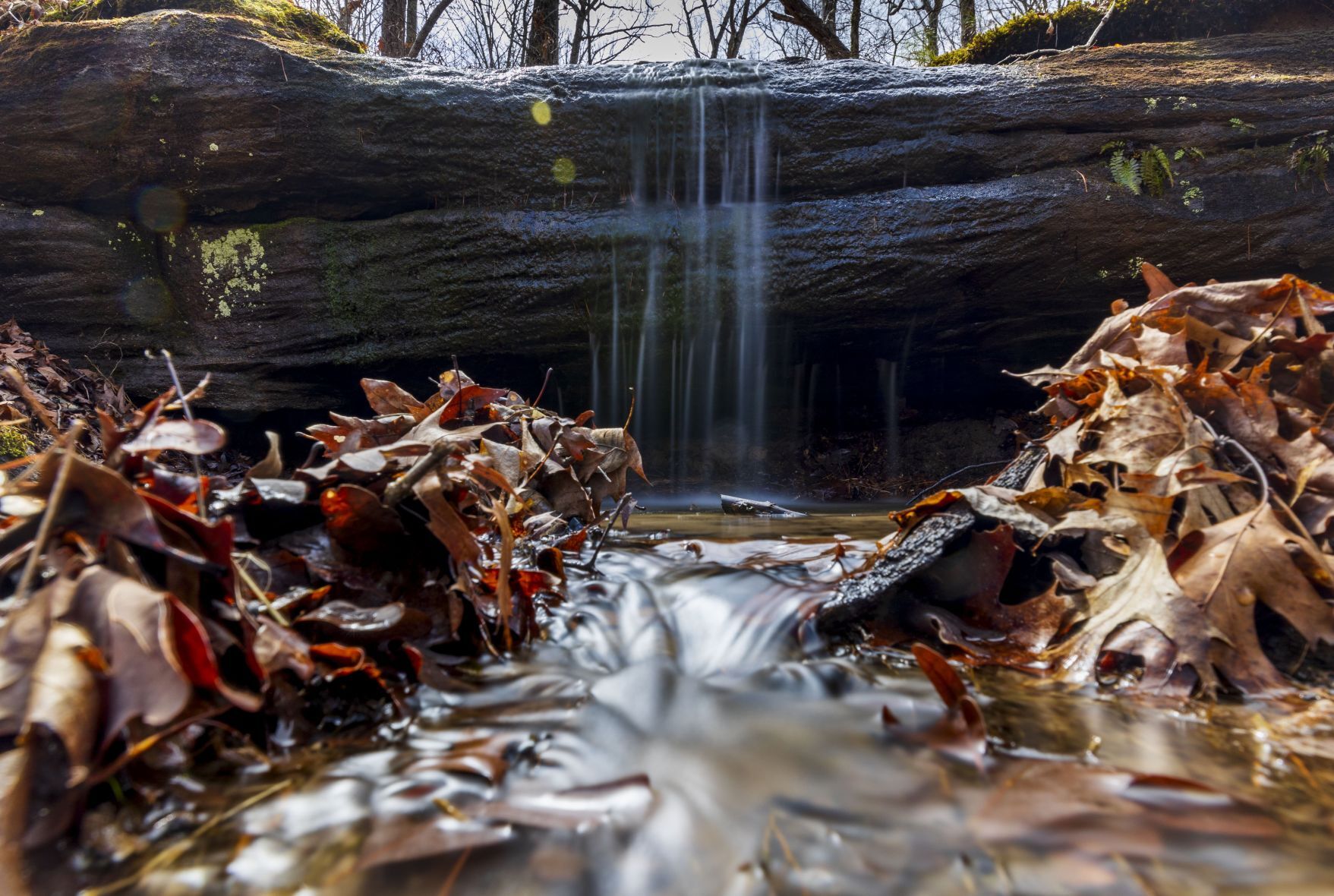 Pickle Springs Natural Area